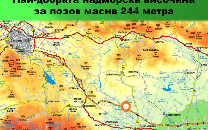 лозов МАСИВ 78 декара обл. ПАЗАРДЖИК с. Динката