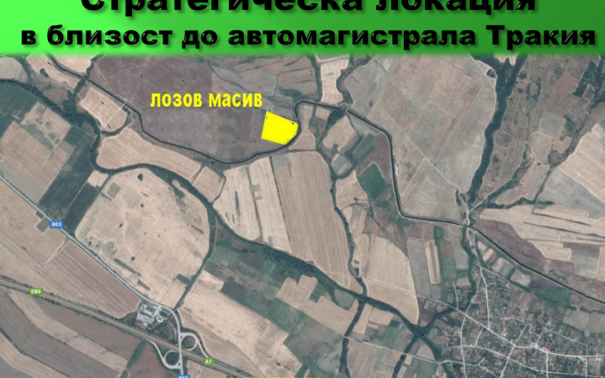 лозов МАСИВ 78 декара обл. ПАЗАРДЖИК с. Динката