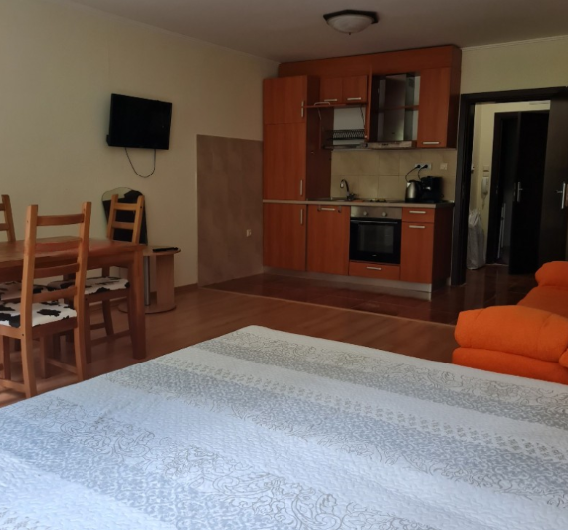 Продава обзаведен 1-СТАЕН апартамент    53м2 в Пампорово